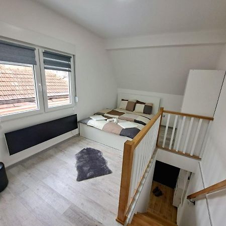 Mini Duplex Apartman Dusanovac Exterior foto